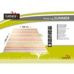 Piknik deka SUMMER 200x200 cm
