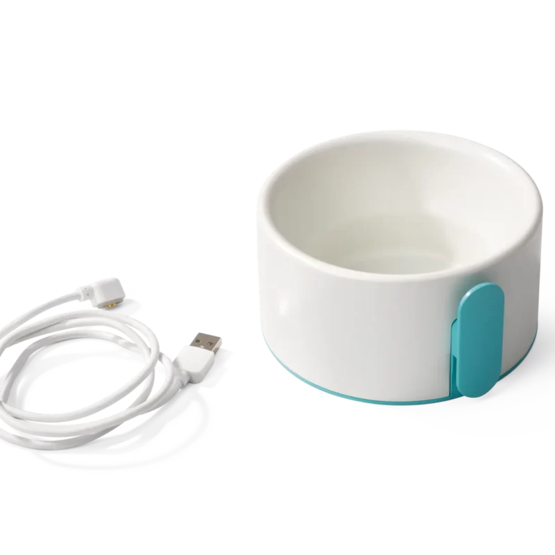 Pametni analizator vode za bazen | Intex 28607 WiFi