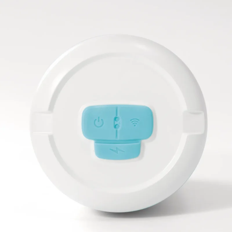 Pametni analizator vode za bazen | Intex 28607 WiFi